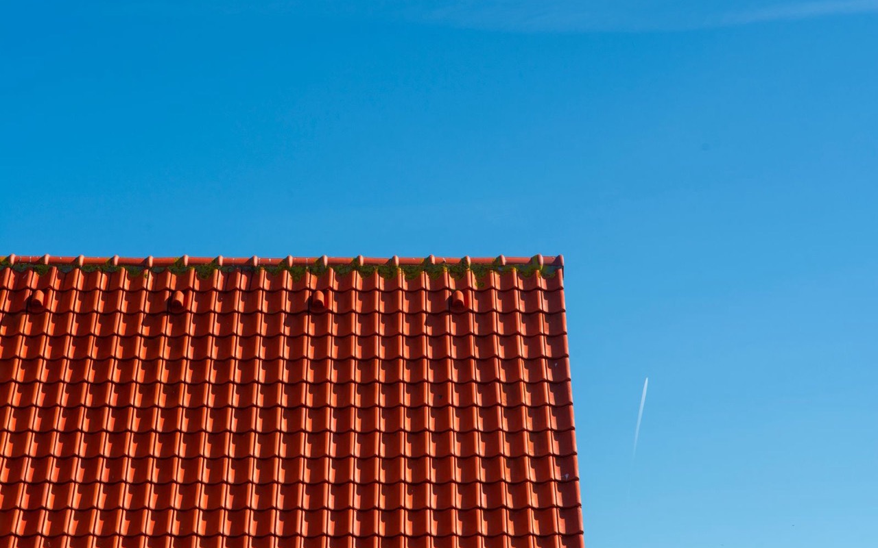 Dachflächenreinigung