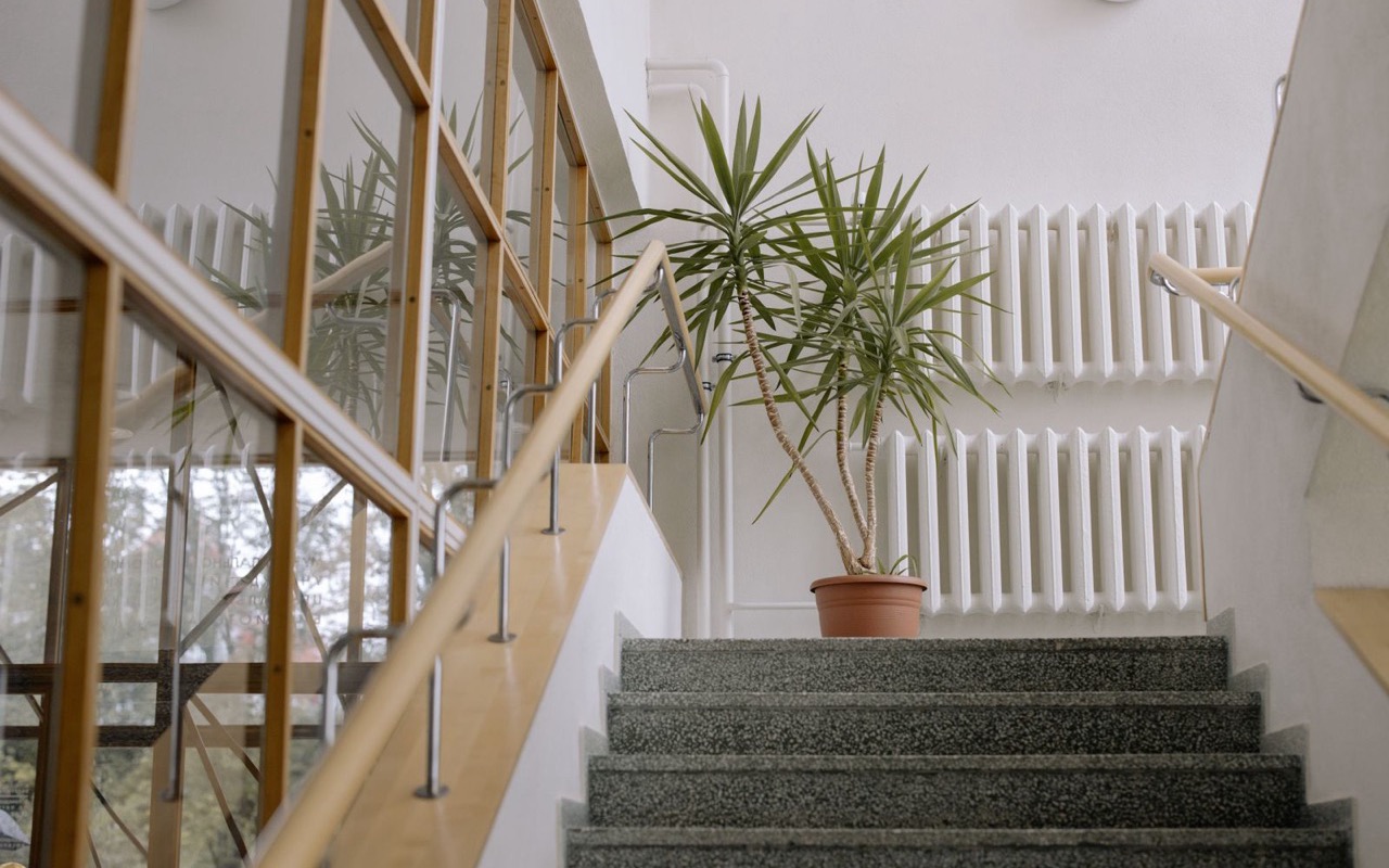 Treppenhausreinigung